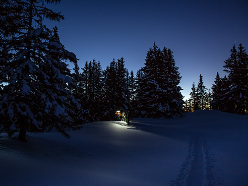 snowshoes evening in megeve with a guide